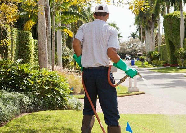 About Wayzata MN Pest Control Pros